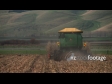 Maize Harvest Rear 1 1539